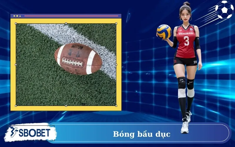Bóng bầu dục