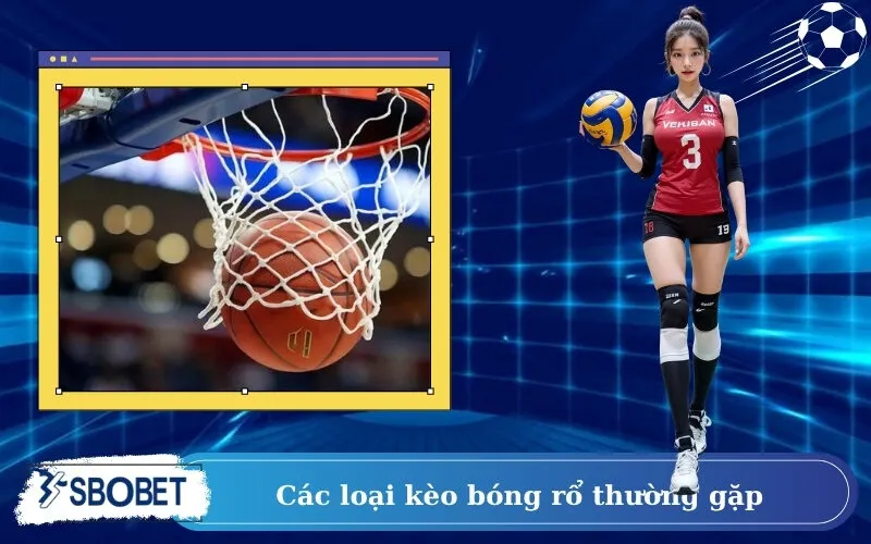 Các loại kèo bóng rổ thường gặp