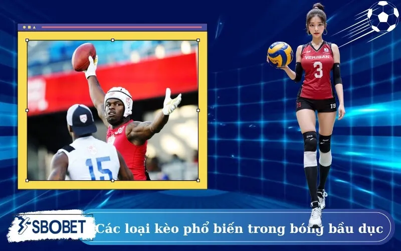 Các loại kèo phổ biến trong bóng bầu dục