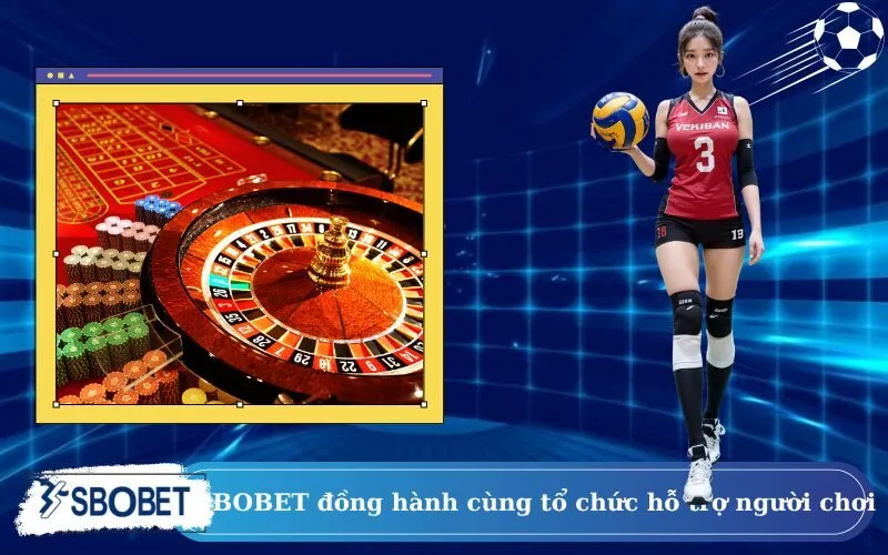 SBOBET đồng hành cùng tổ chức hỗ trợ người chơi
