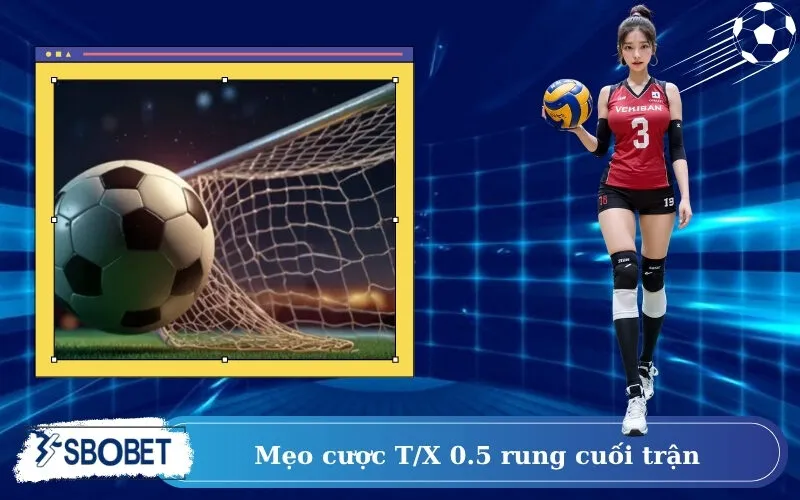 Mẹo cược T/X 0.5 rung cuối trận
