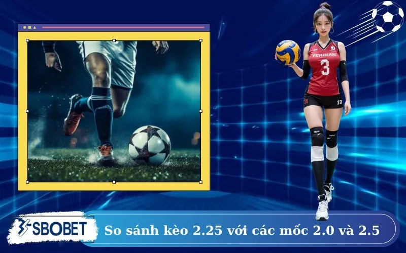 So sánh kèo 2.25 với các mốc 2.0 và 2.5